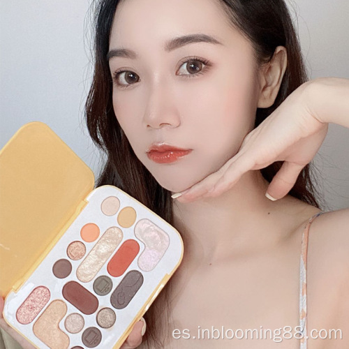 Colorido maquillaje de etiqueta privada paleta de sombras de ojos mate